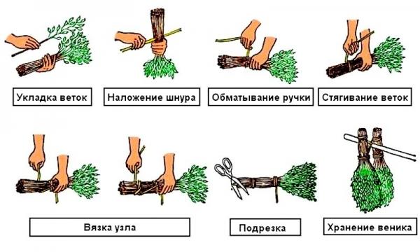 Заготовка березовых веников для бани Заготовка березовых веников для бани