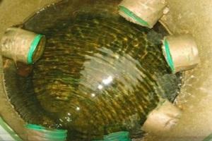 Отвод воды от фундамента дома: делаем отвод воды своими руками с фото инструкциями Отвод воды от фундамента дома: делаем отвод воды своими руками с фото инструкциями