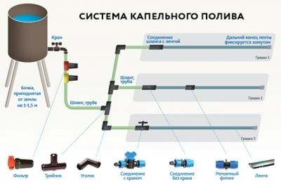 Капельный полив своими руками. Как делать. Фото и видео Капельный полив своими руками. Как делать. Фото и видео