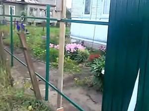 Как построить забор из профлиста своими руками: этапы подготовки и видео пример самостоятельного строительства забора из профлиста Как построить забор из профлиста своими руками: этапы подготовки и видео пример самостоятельного строительства забора из профлиста