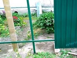 Как построить забор из профлиста своими руками: этапы подготовки и видео пример самостоятельного строительства забора из профлиста Как построить забор из профлиста своими руками: этапы подготовки и видео пример самостоятельного строительства забора из профлиста