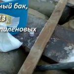 Выращивание грибов в домашних условиях: главные особенности и инструкция для новичков Выращивание грибов в домашних условиях: главные особенности и инструкция для новичков