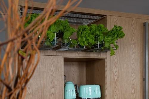 Biophilia кухня от WOODsystems Biophilia кухня от WOODsystems