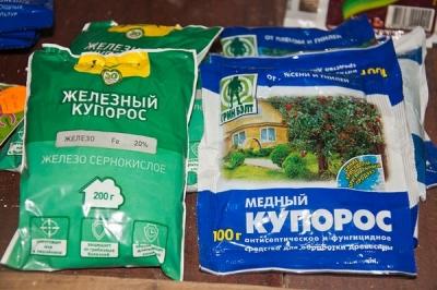 Обработка сада после цветения: чем опрыскивать растения для защиты от вредителей и болезней? Обработка сада после цветения: чем опрыскивать растения для защиты от вредителей и болезней?