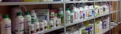 Обработка сада после цветения: чем опрыскивать растения для защиты от вредителей и болезней? Обработка сада после цветения: чем опрыскивать растения для защиты от вредителей и болезней?