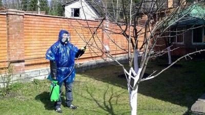 Обработка сада после цветения: чем опрыскивать растения для защиты от вредителей и болезней? Обработка сада после цветения: чем опрыскивать растения для защиты от вредителей и болезней?
